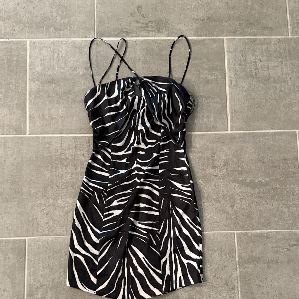 ZARA zebrah mini dress